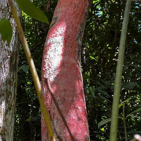 Pousada Vale Das Aguias Hotell Jaguaruna Exteriör bild