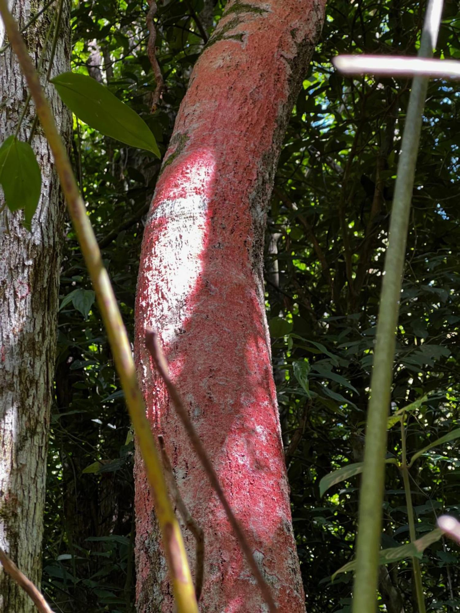 Pousada Vale Das Aguias Hotell Jaguaruna Exteriör bild